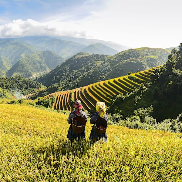 2 for 1 Vietnam: Hanoi, Ninh Binh & Local Living in Sapa
