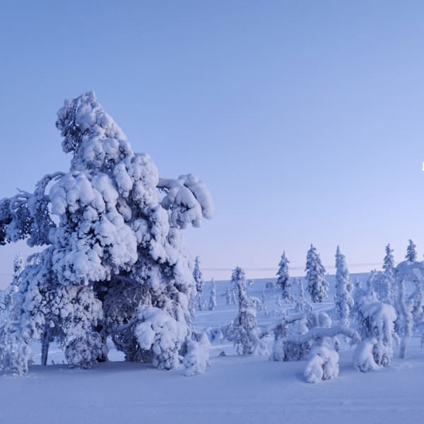 Lappland mit Kids: Winterzauber & Rentier-Safari