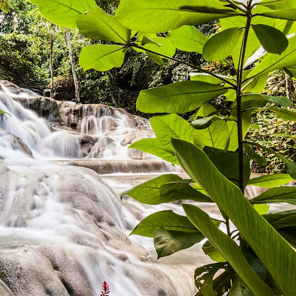 Jamaica jam: reggae road trip and beach vibes!