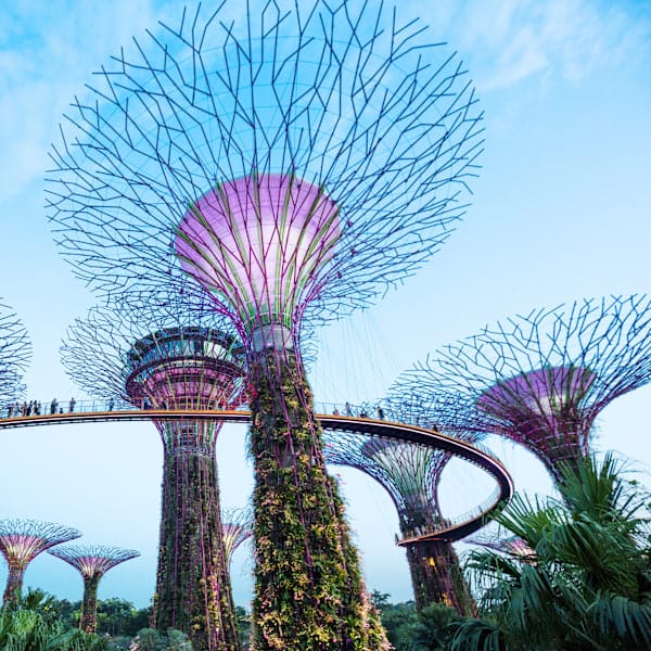 Asia country-hopping: Palm trees and rooftop views