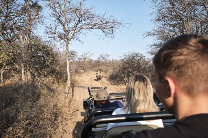 Full-day safari in Kruger National Park from AfriCamps at Mackers thumbnail
