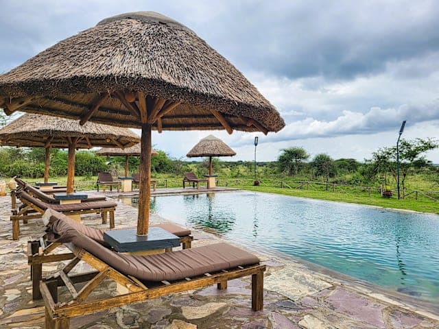 Africa Safari Serengeti Ikoma thumbnail