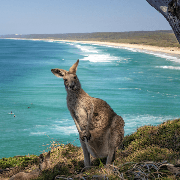 Australia road trip: From sea to rainforest in Queensland
